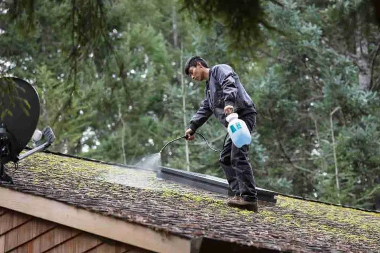 What Is The Best Time Of Year To Remove Moss From Roof?